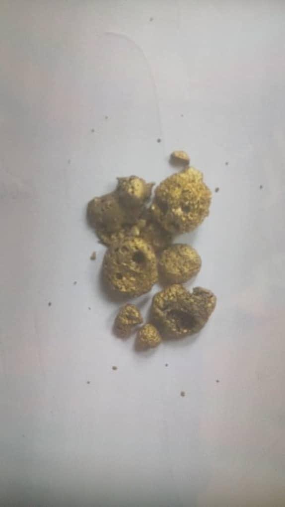 Raw gold nuggets recovered ahead of refining