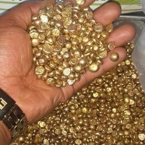 Refined gold nuggets held in a hand above a tray of processed gold